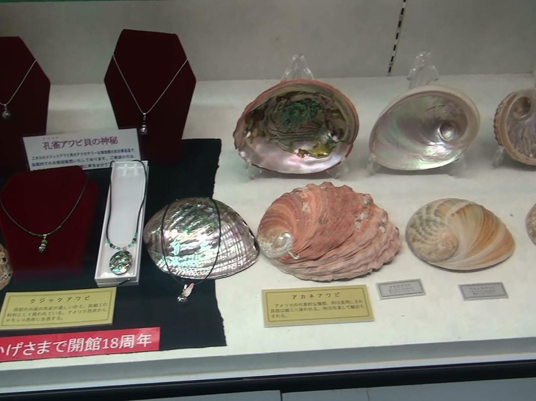Miyakojima Sea Treasure Museum-宫古岛市必去景点