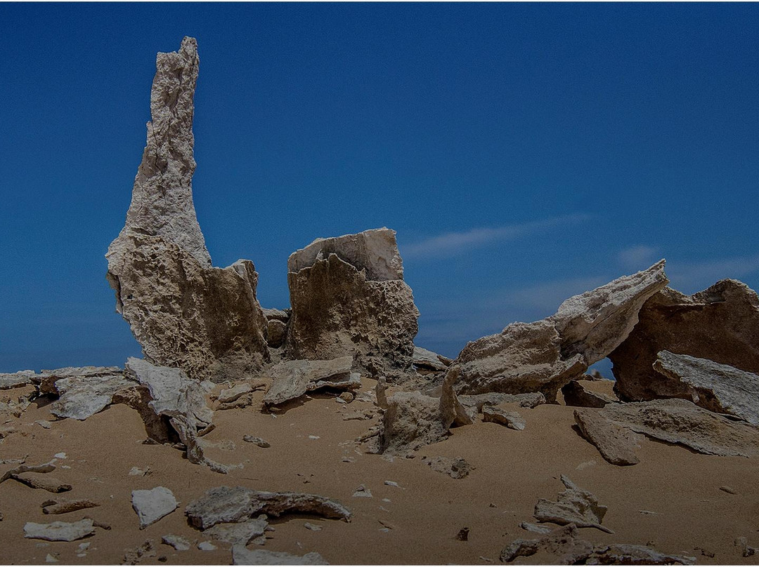 Grassy旅游景点-Calcified Forest