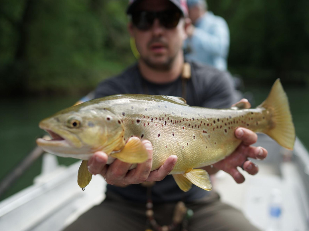Rouse Fly Fishing-Heber Springs必去景点
