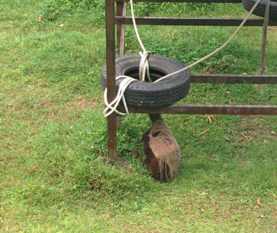 The Great Orangutan Project-古晋必去景点