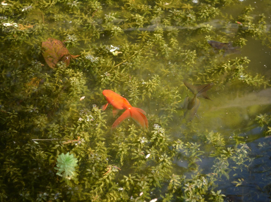 Paradiso Perduto主图