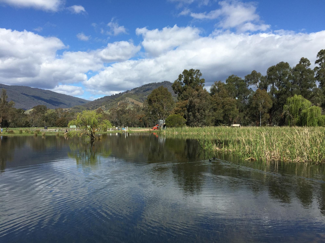 Eildon Trout Farm-Thornton必去景点