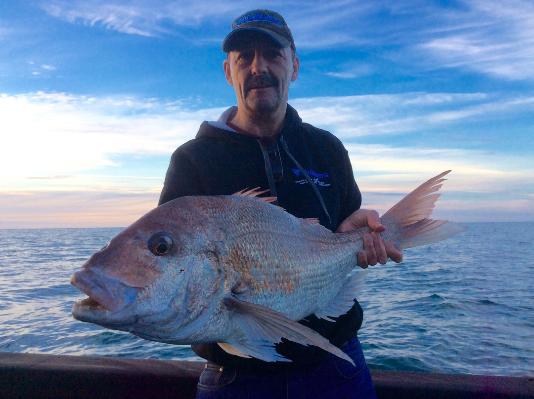 Black Pearl Fishing Charters-惠灵顿必去景点