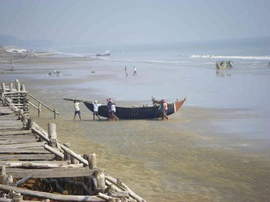 Frazerganj Beach景点图片