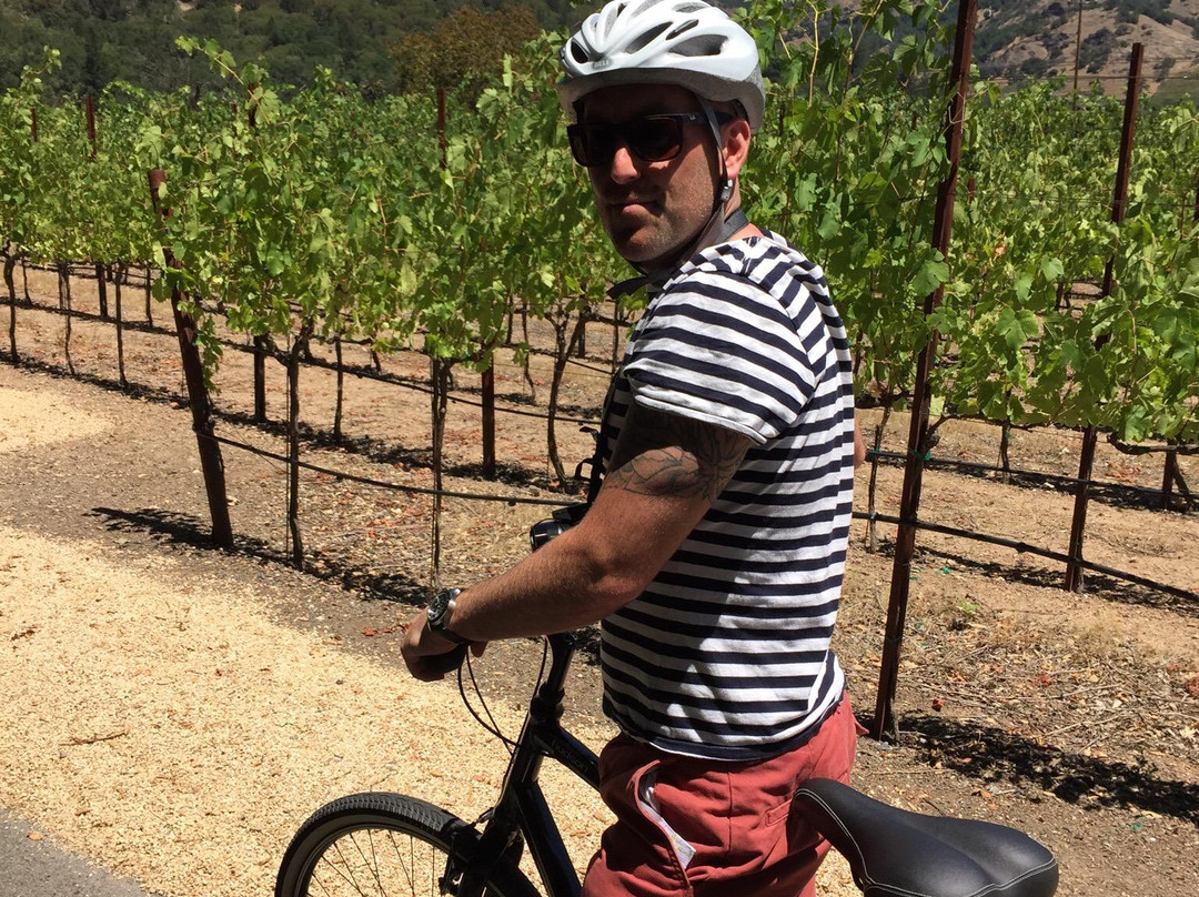 Napa Valley Winery Bike Tour景点图片