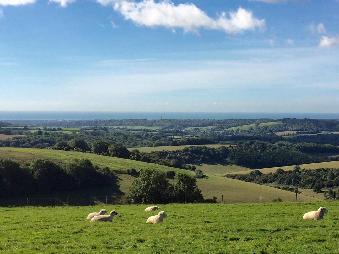 Chanctonbury Ring景点图片