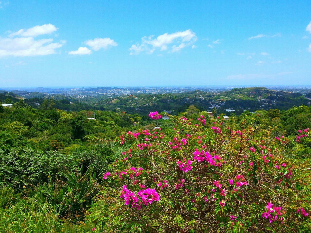 Mirador Gavillan景点图片
