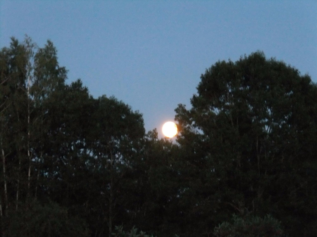 Clary Lake Bed and Breakfast主图