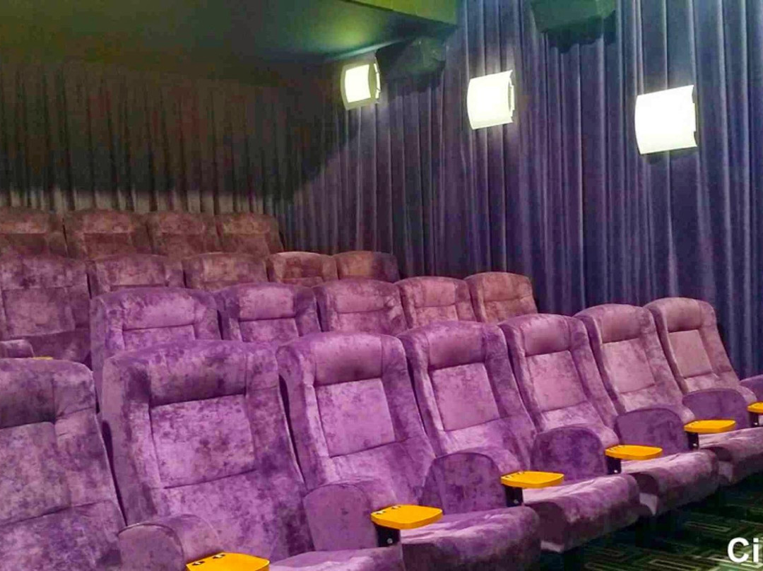 The Town Hall Cinemas景点图片