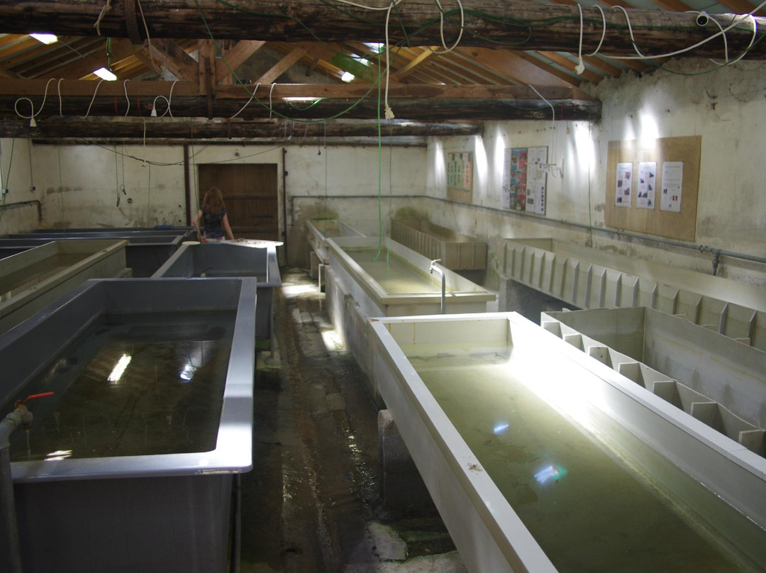Le Moulin aux Ecrevisses