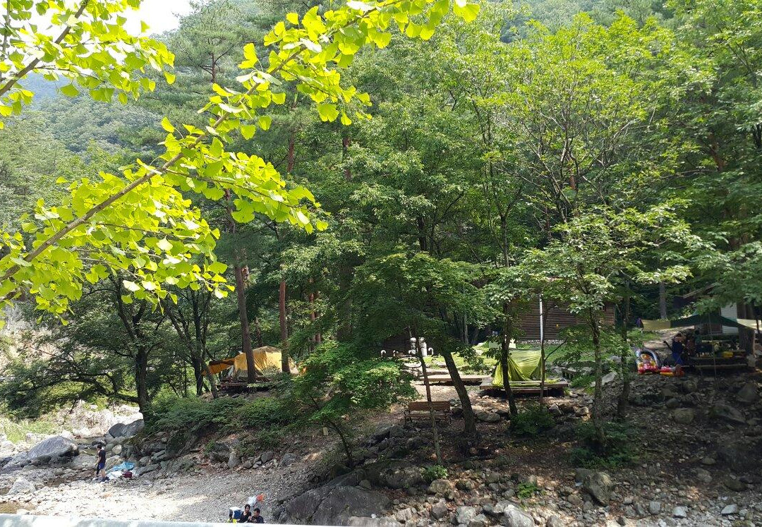 Micheongol Valley-襄阳郡必去景点