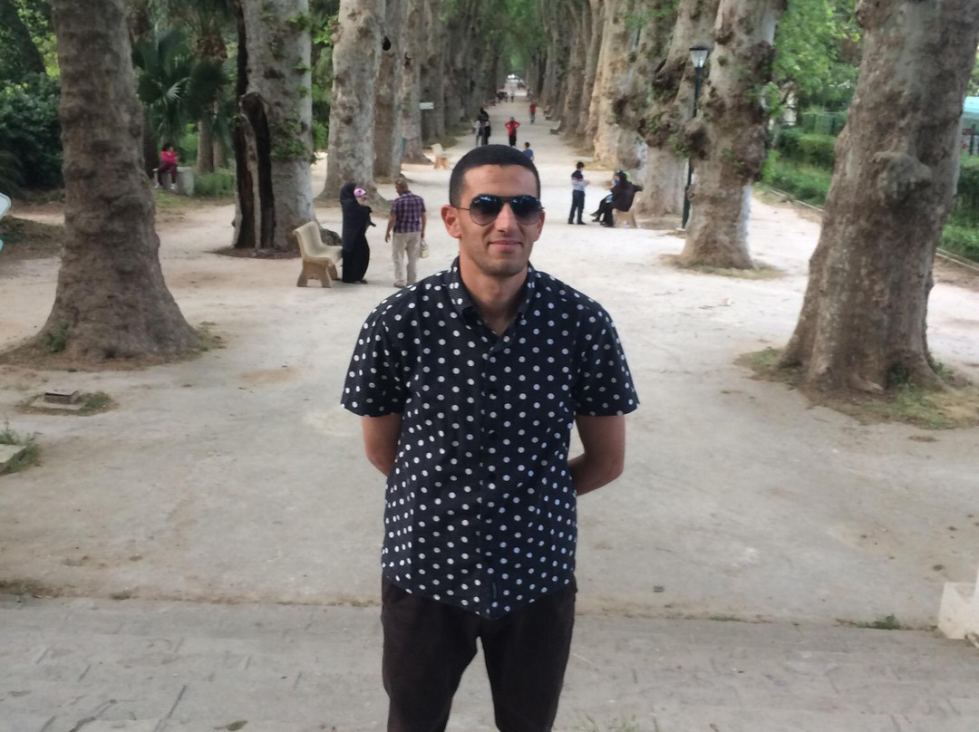 Le Jardin d'Essai du Hamma景点图片