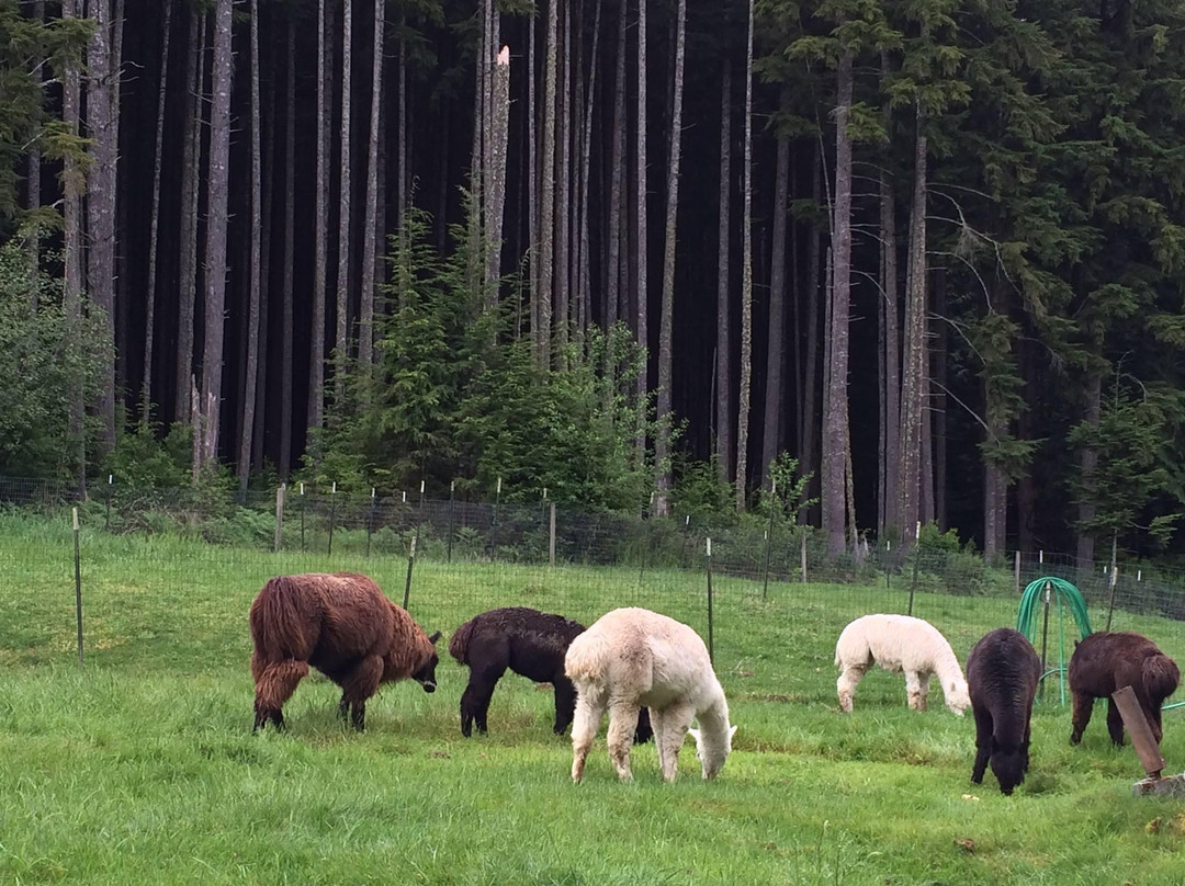 Paca Pride Guest Ranch