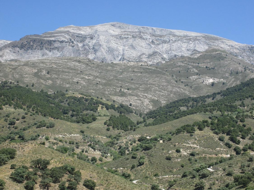 Bodegas Sedella景点图片