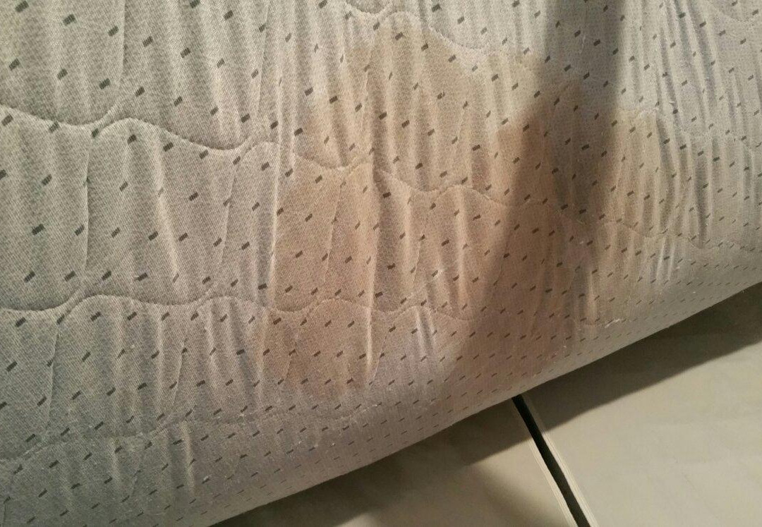 金德美国最有价值旅馆&套房酒店