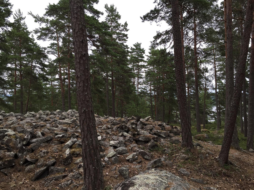 Bergs klätt Nature Reserve-Arvika必去景点