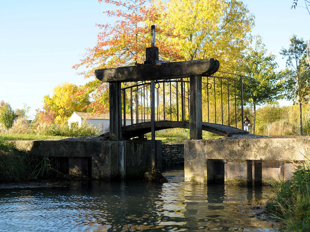 La Riviere de Chauvignac-Chenac-Saint-Seurin-d'Uzet必去景点