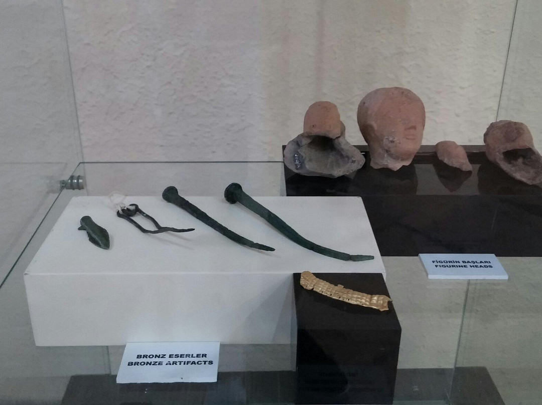 Samsun Arkeoloji Etnografya Müzesi景点图片