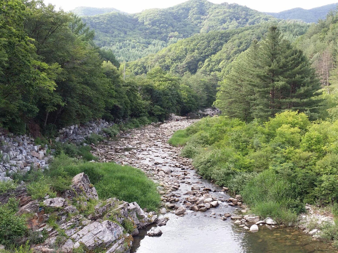 Herb Nara Nongwon-平昌郡必去景点