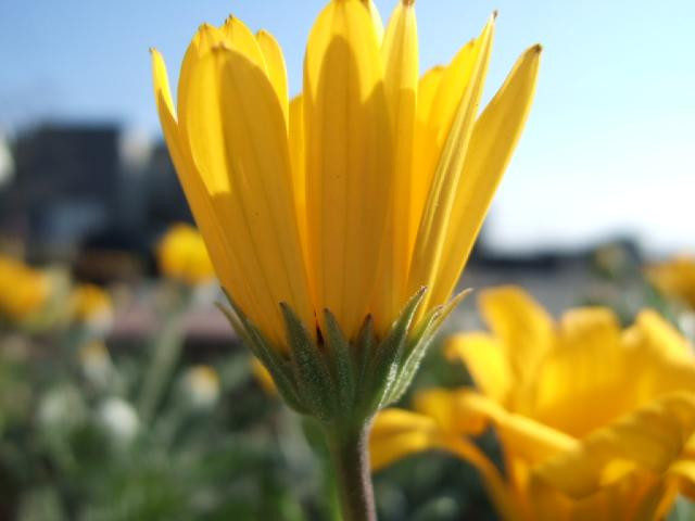 Annex Hotel Abe主图