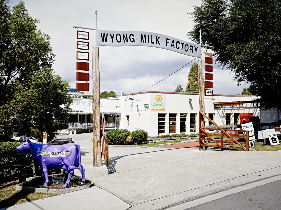 The Wyong Milk Factory景点图片