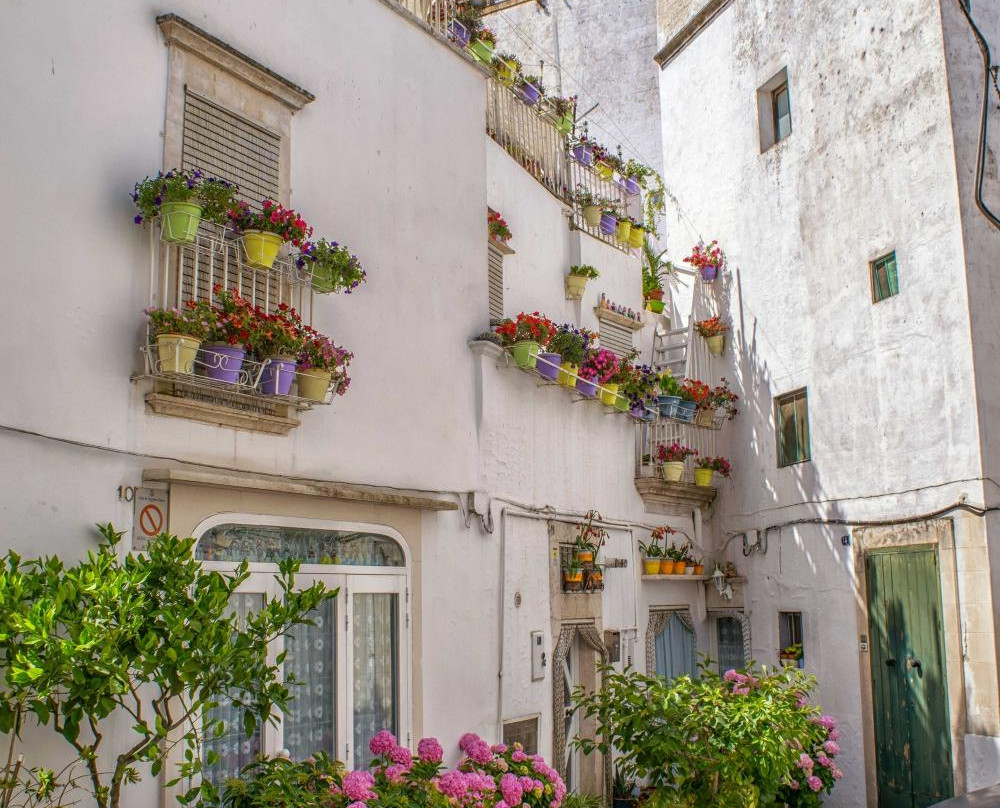 Taste & Go-诺奇必去景点