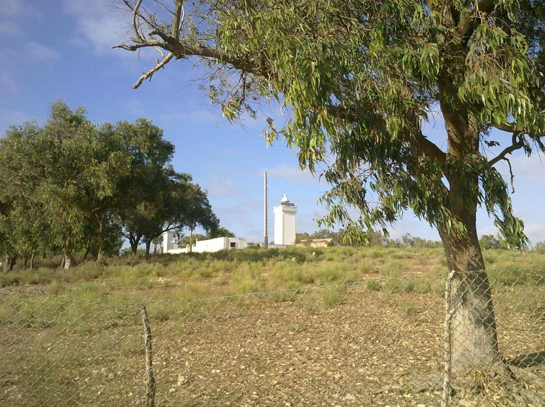 Phare de Sidi Mesbah景点图片