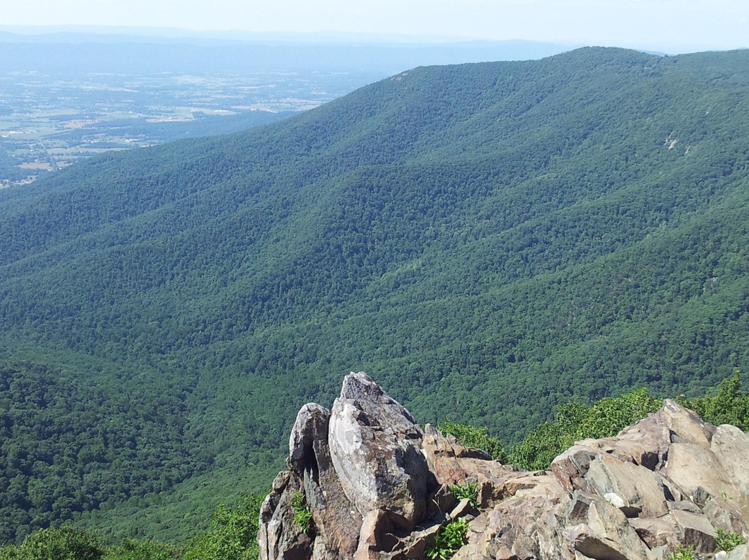 Hawksbill Mountain景点图片
