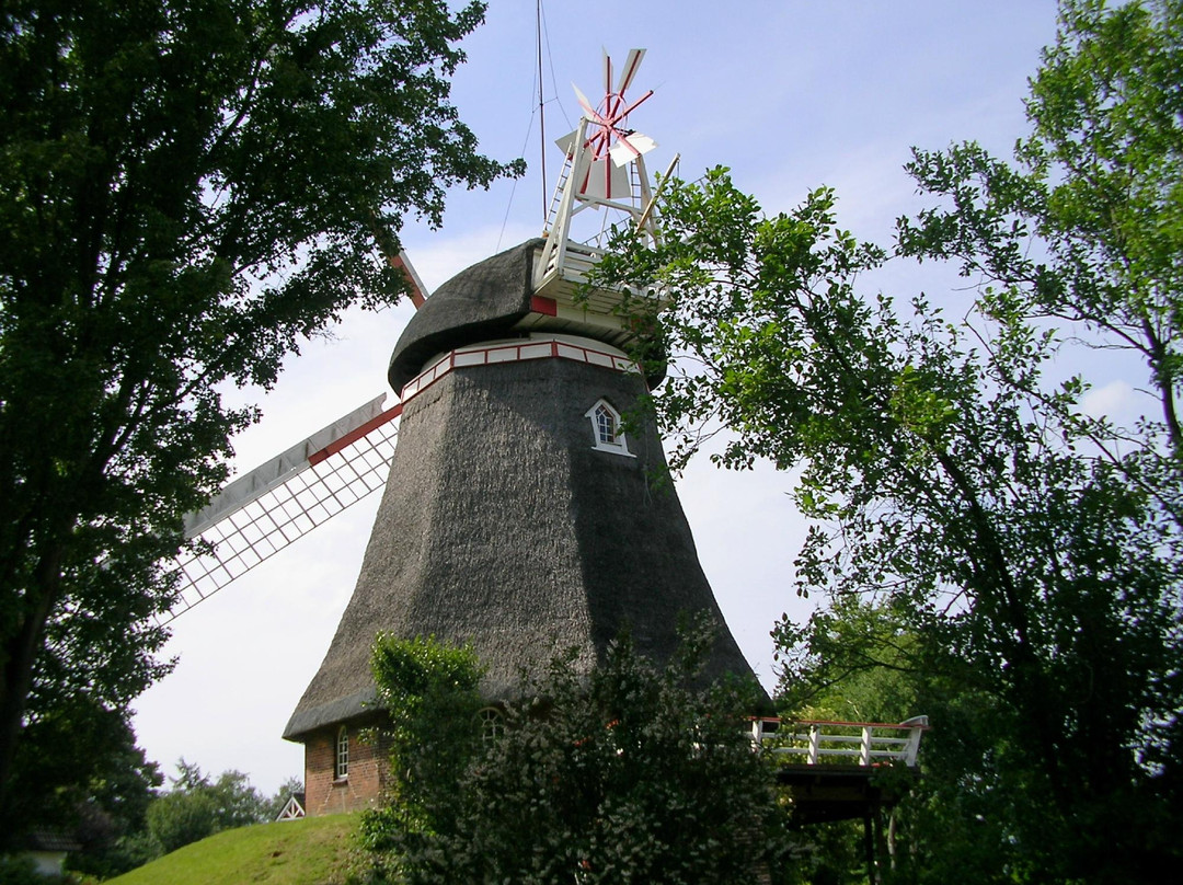 Bad Bederkesa旅游攻略图片