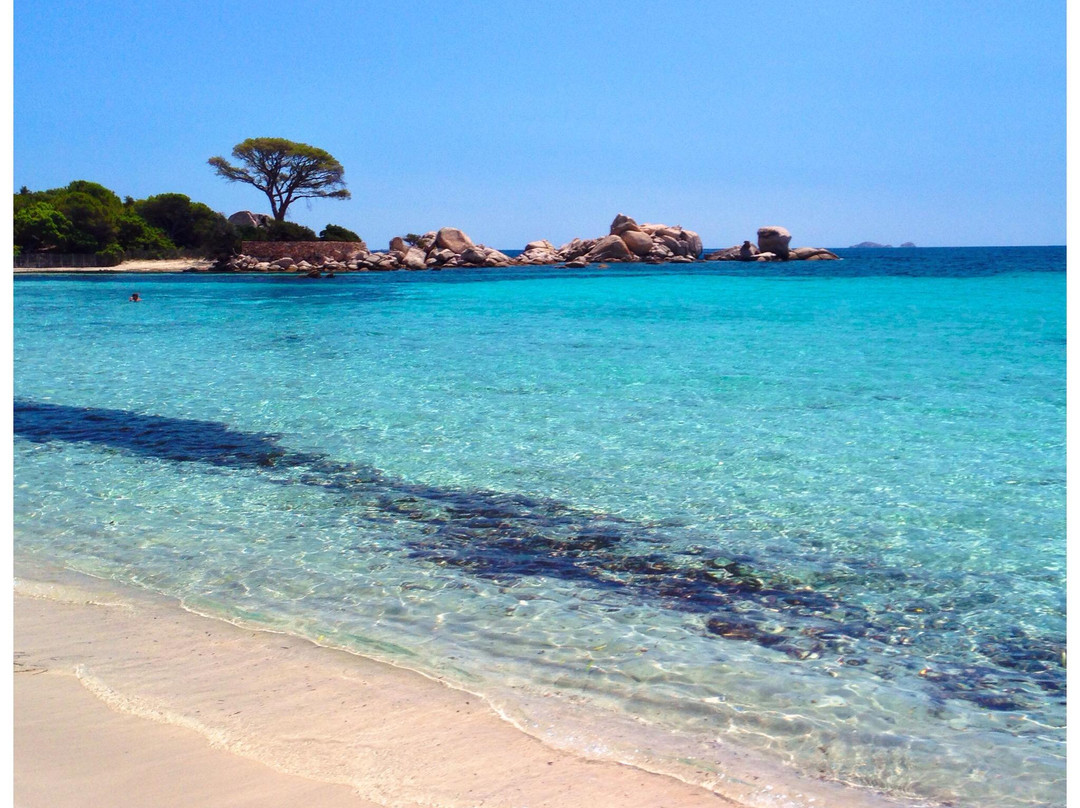 Plage de Tamaricciu-维琪奥港必去景点