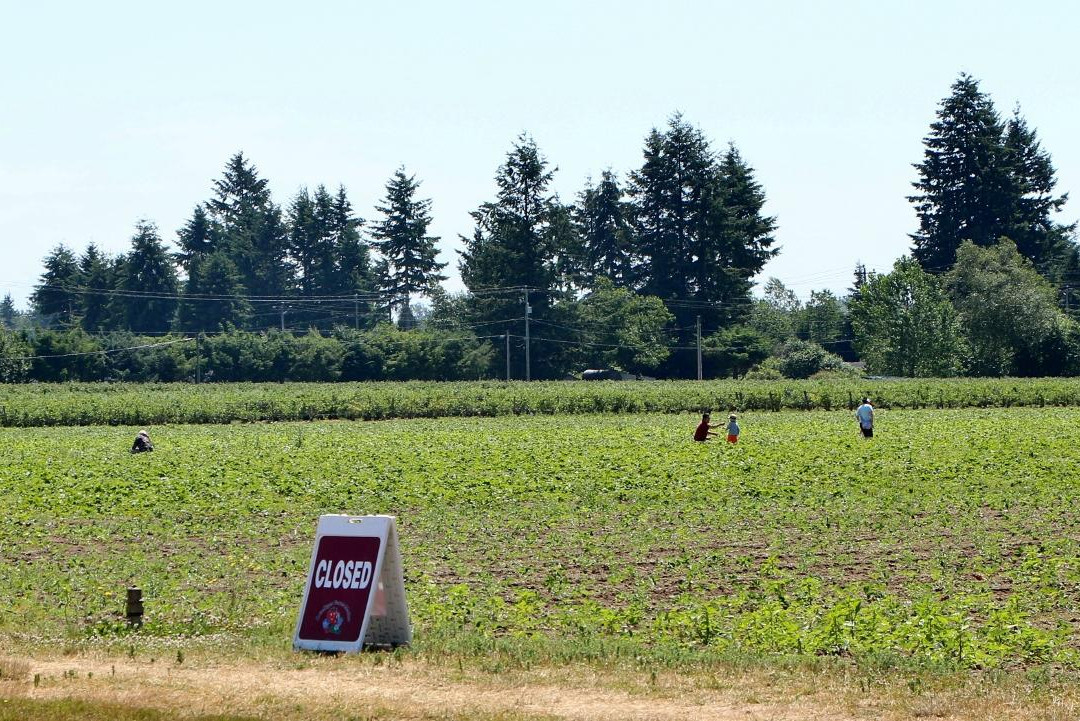 Driediger Farms-Langley必去景点