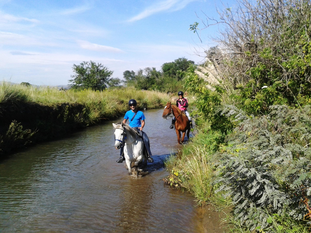 Klipriviersberg Nature Reserve Horse Trails景点图片