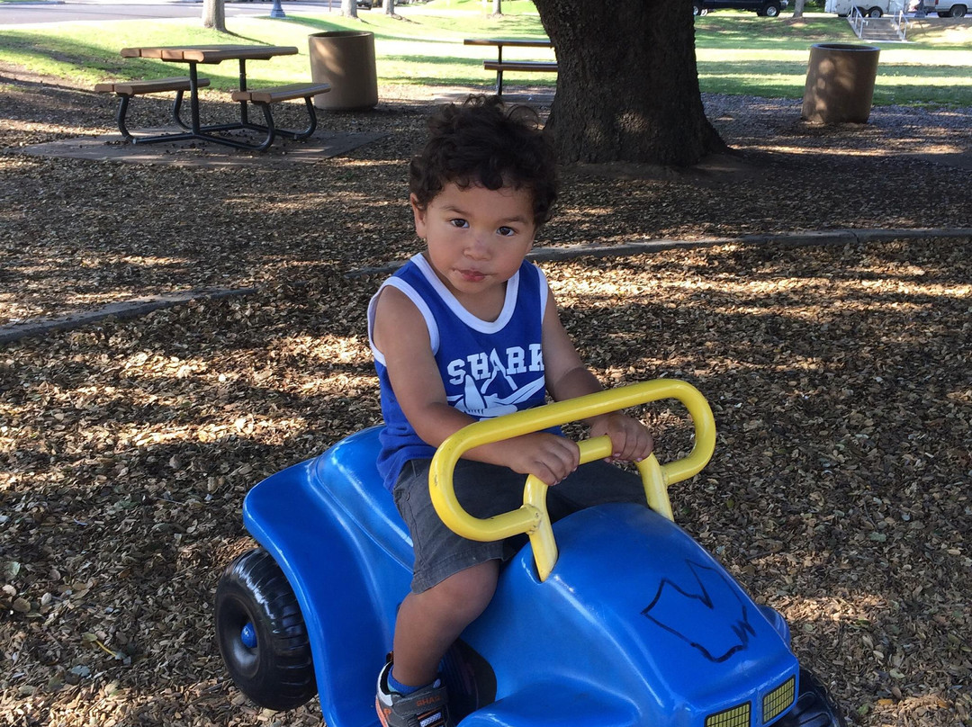 City Hall Park-Brea必去景点