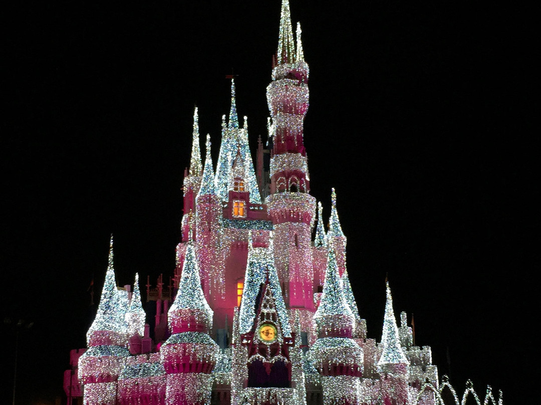 神奇王国-Bay Lake必去景点