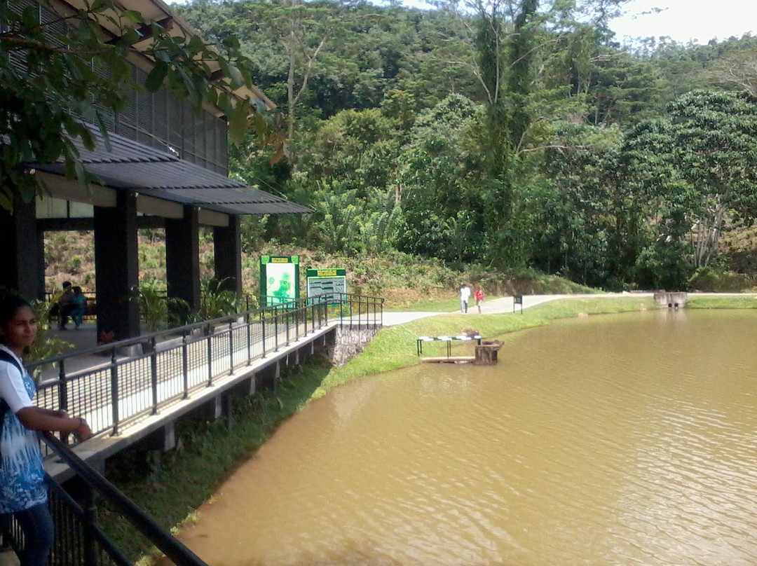 Seethawaka Wet Zone Botanic Gardens景点图片