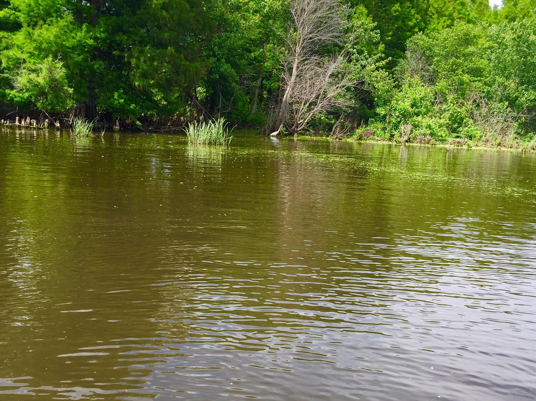 Reelfoot Lake-Tiptonville必去景点