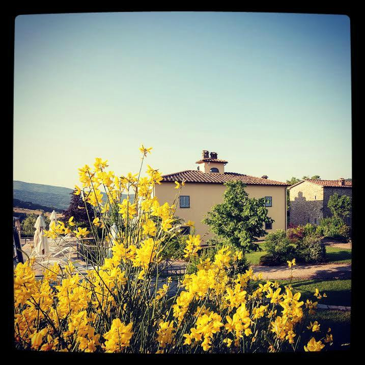 Agriturismo Il Castelluccio主图