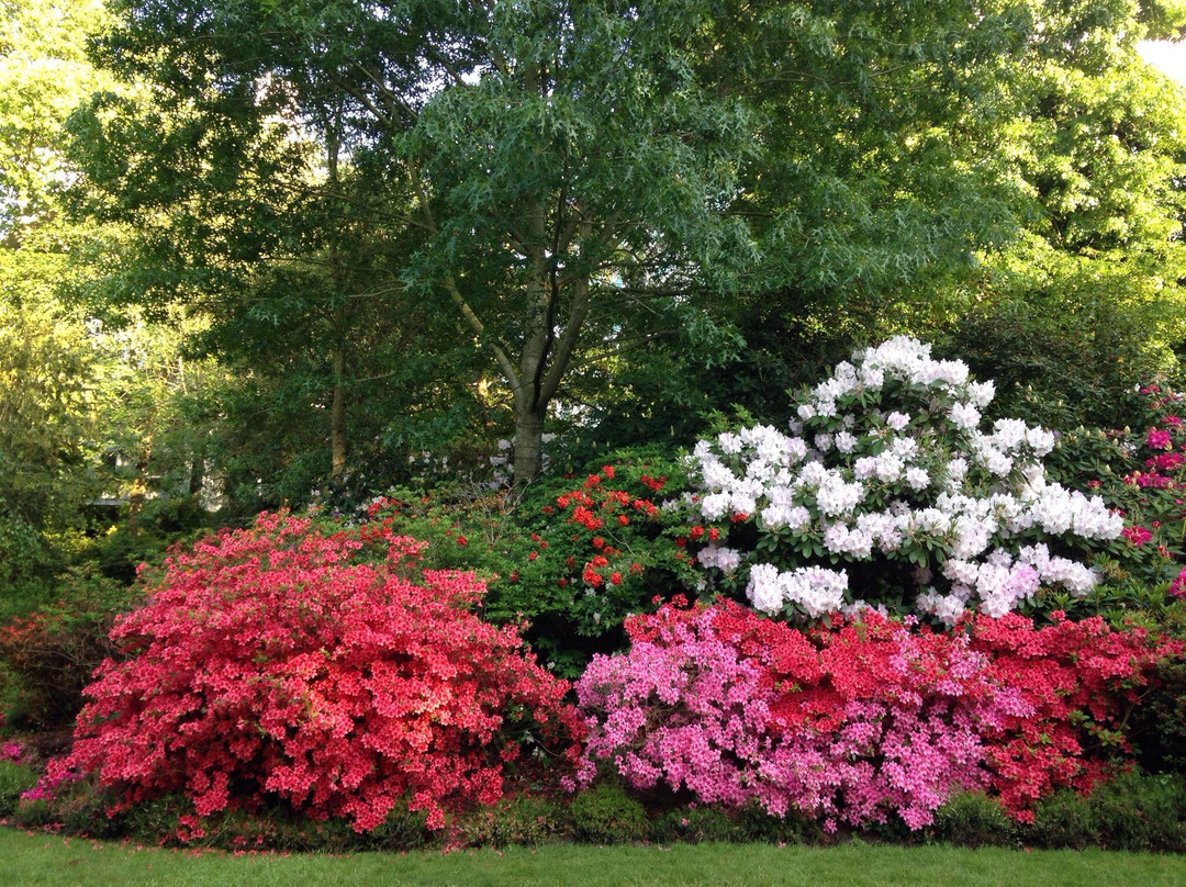 Jardin des Plantes景点图片