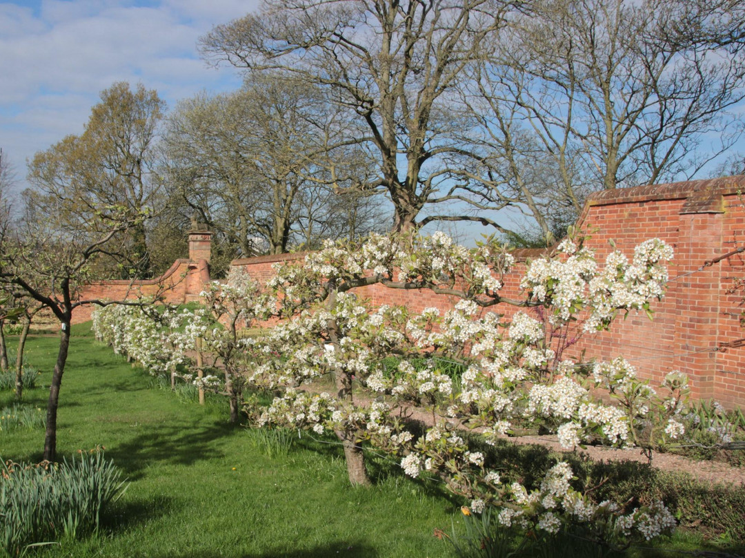 Castle Bromwich Historic Gardens景点图片