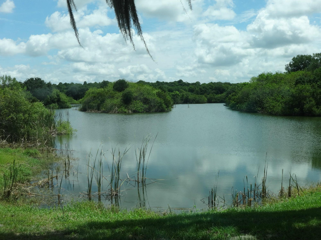 Saddle Creek Park-莱克兰必去景点