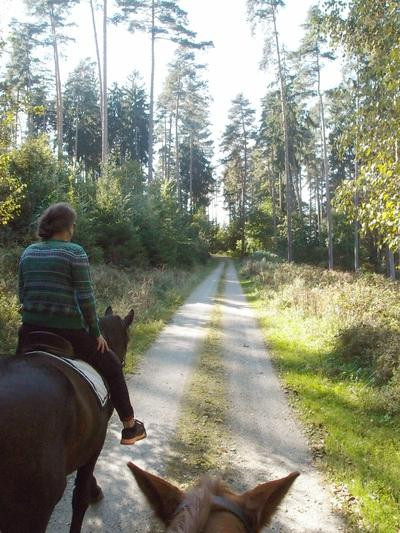 Private Horse Tours-维也纳必去景点
