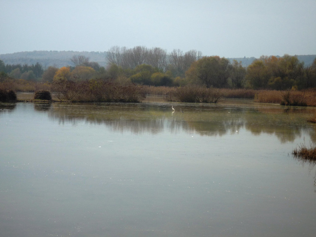 Lago di Alviano-Guardea必去景点