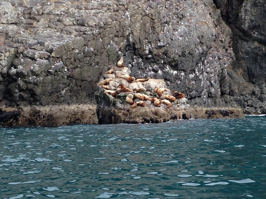 Northern Latitude Adventures-苏厄德必去景点