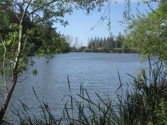 Temescal Regional Recreation Area-奥克兰必去景点