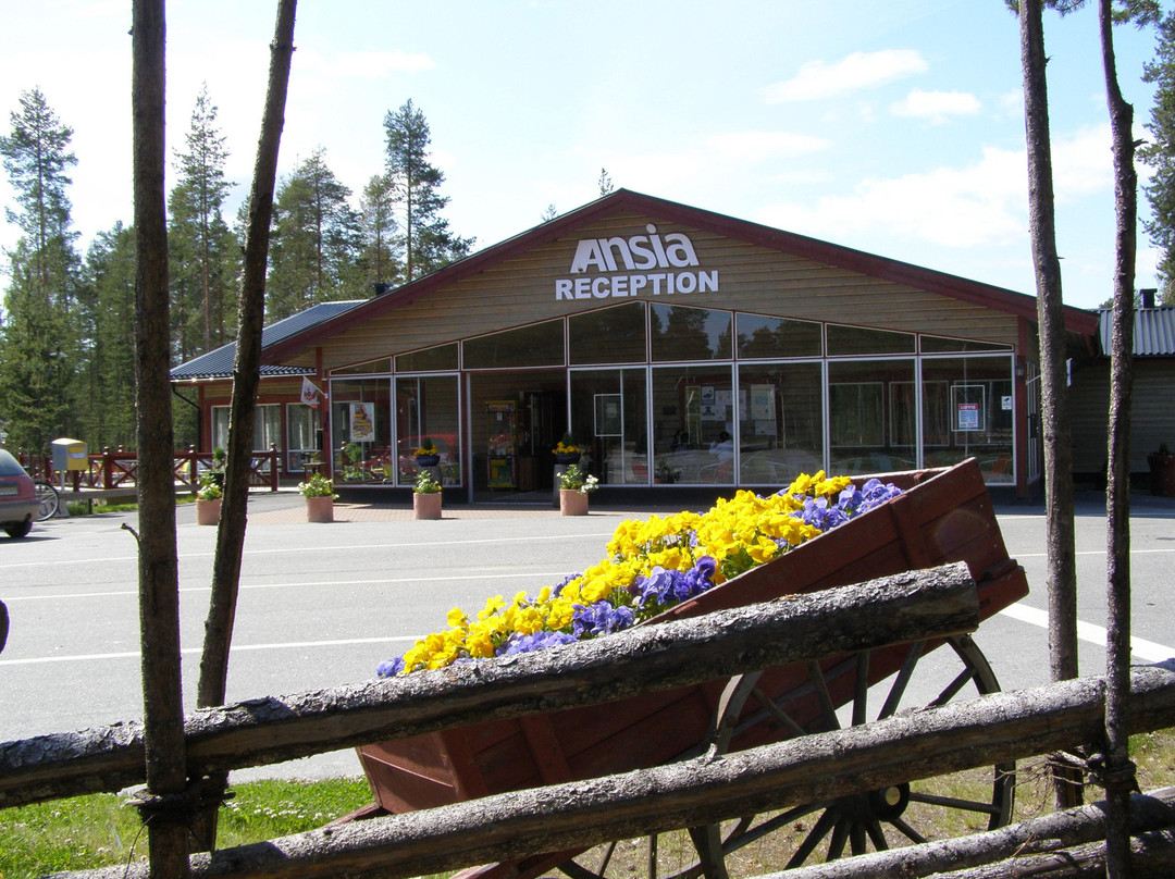 First Camp Ansia - Lycksele