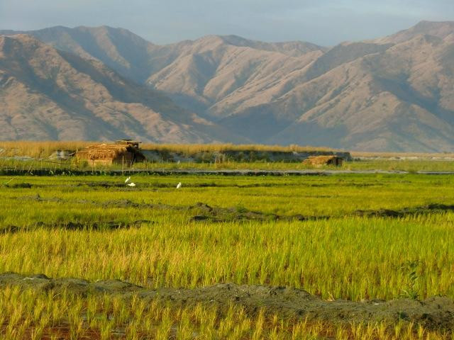 Botolan Wildlife Farm景点图片