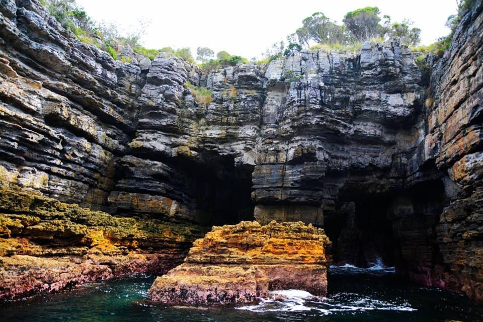 杰维斯湾野生巡航-赫斯基森必去景点