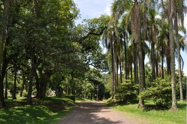 Parque das Palmeiras景点图片
