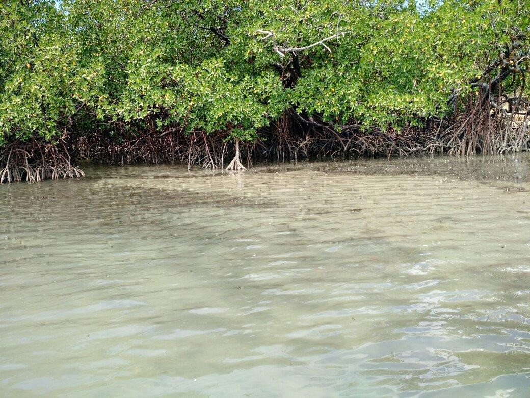 Rio Maracaipe-伊波茹卡必去景点