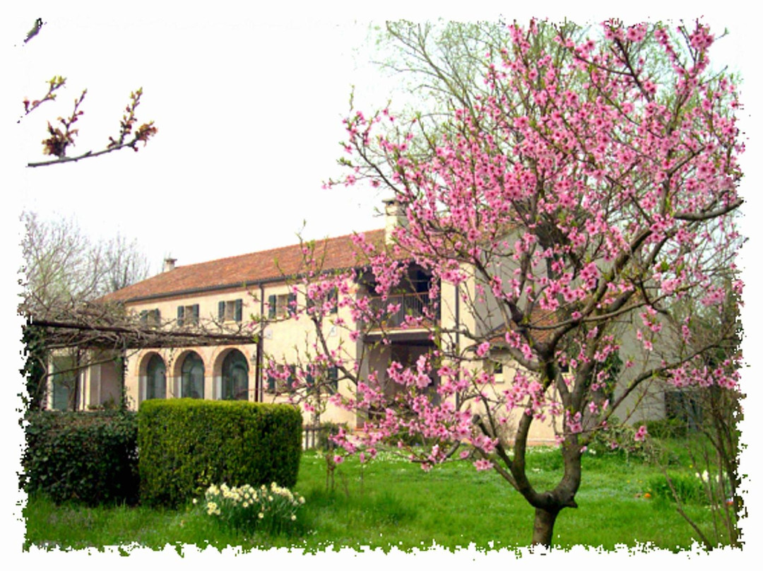 Vigonovo酒店住宿-Il Rustico Bed & Breakfast
